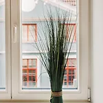 Апартаменты Elvis Apartment/11 Beds/6 Bedrooms/riga Old Town
