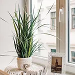 Elvis Apartment/11 Beds/6 Bedrooms/riga Old Town Рига