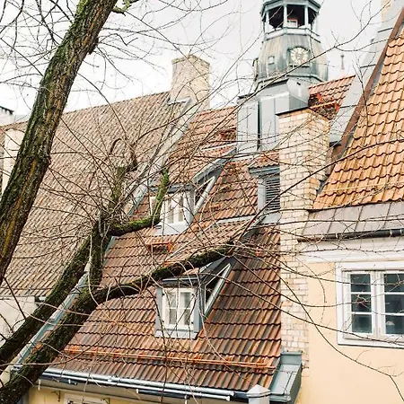 Appartamento Elvis Apartment/11 Beds/6 Bedrooms/riga Old Town *