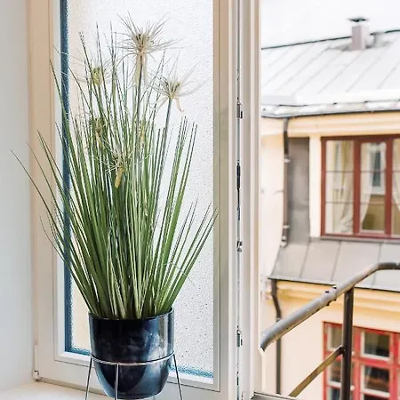 Elvis Apartment/11 Beds/6 Bedrooms/riga Old Town * Riga