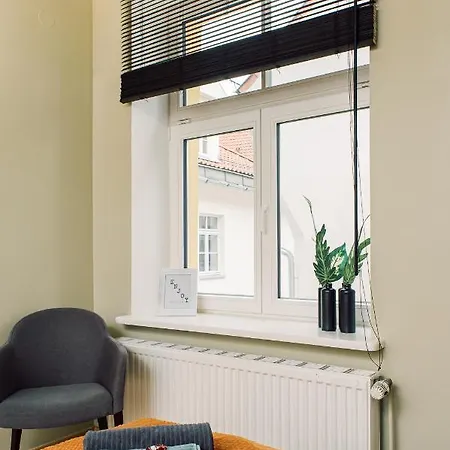 Elvis Apartment/11 Beds/6 Bedrooms/riga Old Town *