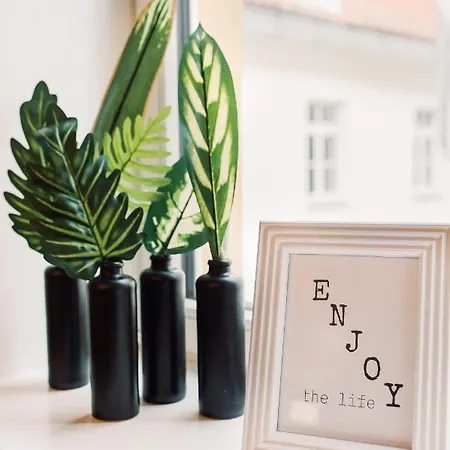 Elvis Apartment/11 Beds/6 Bedrooms/riga Old Town * Рига