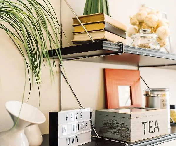 Elvis Apartment/11 Beds/6 Bedrooms/riga Old Town ריגה