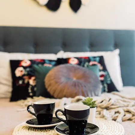 Elvis Apartment/11 Beds/6 Bedrooms/riga Old Town *