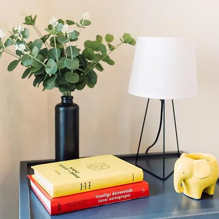 Apartment Elvis Apartment/11 Beds/6 Bedrooms/riga Old Town *