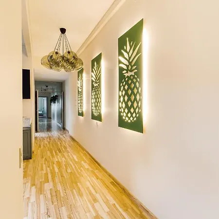 Elvis Apartment/11 Beds/6 Bedrooms/riga Old Town Apartment Riga