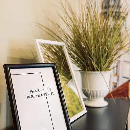 Apartment Elvis Apartment/11 Beds/6 Bedrooms/riga Old Town *