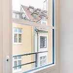 Elvis Apartment/11 Beds/6 Bedrooms/riga Old Town