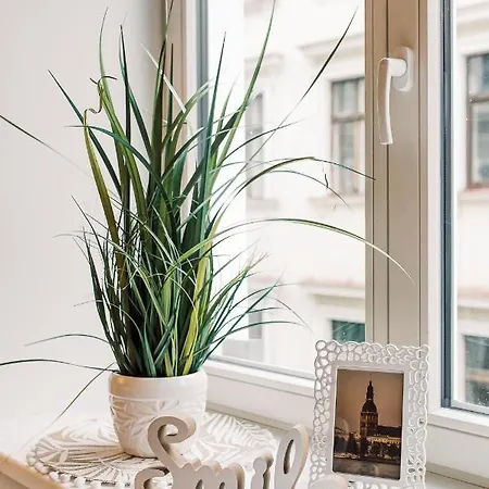 Elvis Apartment/11 Beds/6 Bedrooms/riga Old Town Riga