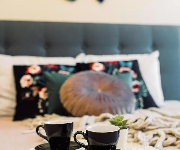 Elvis Apartment/11 Beds/6 Bedrooms/riga Old Town *