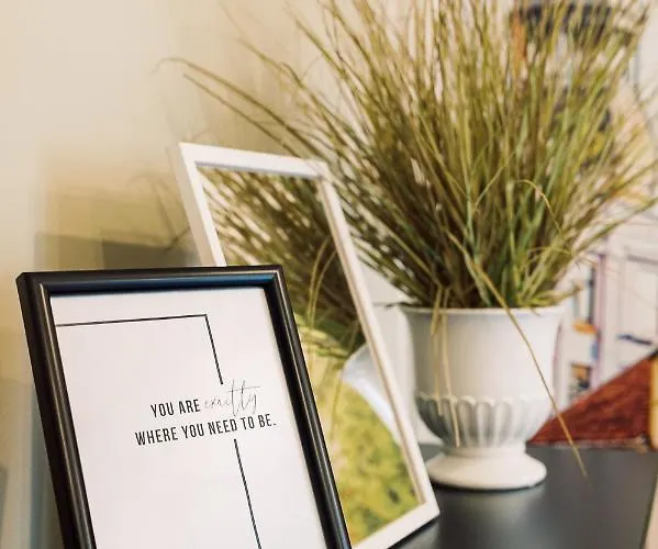 Apartment Elvis Apartment/11 Beds/6 Bedrooms/riga Old Town *