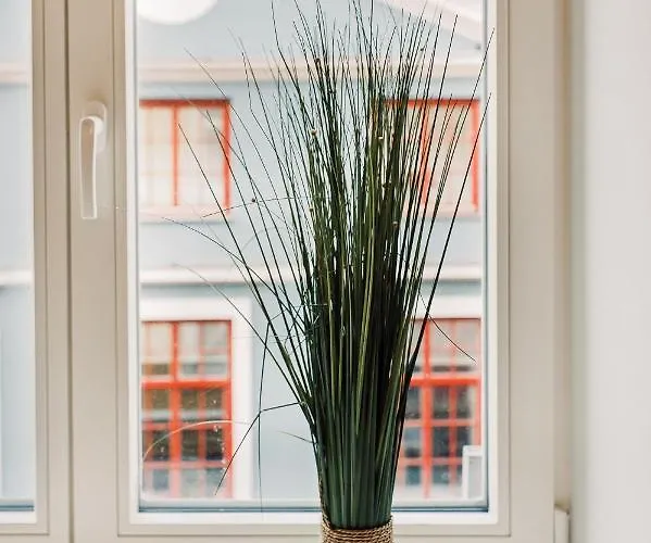 Apartment Elvis Apartment/11 Beds/6 Bedrooms/riga Old Town