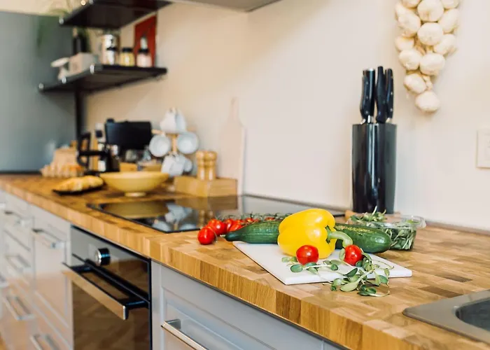 Elvis Apartment/11 Beds/6 Bedrooms/riga Old Town Apartment Riga